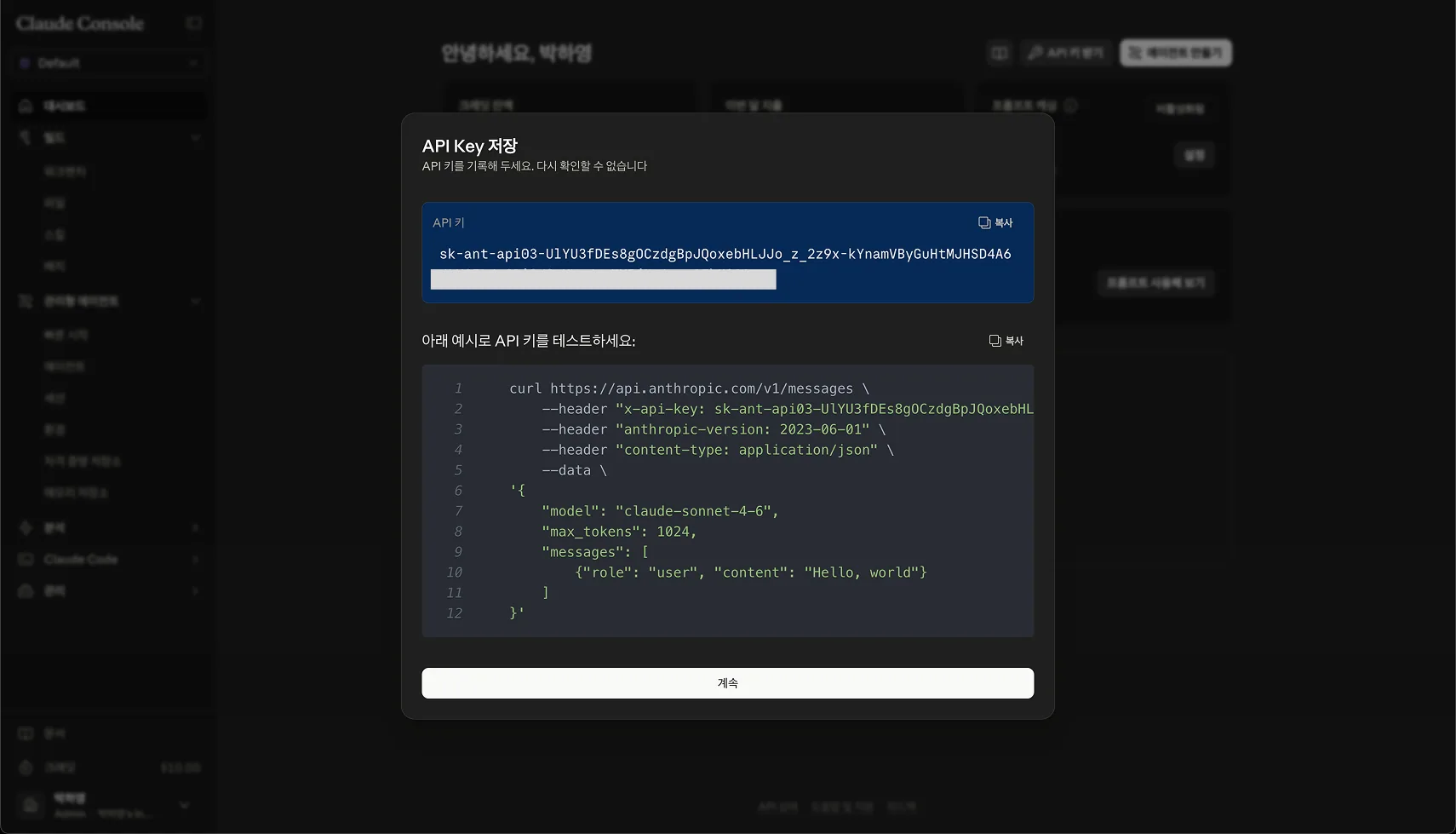 API Key 복사 화면